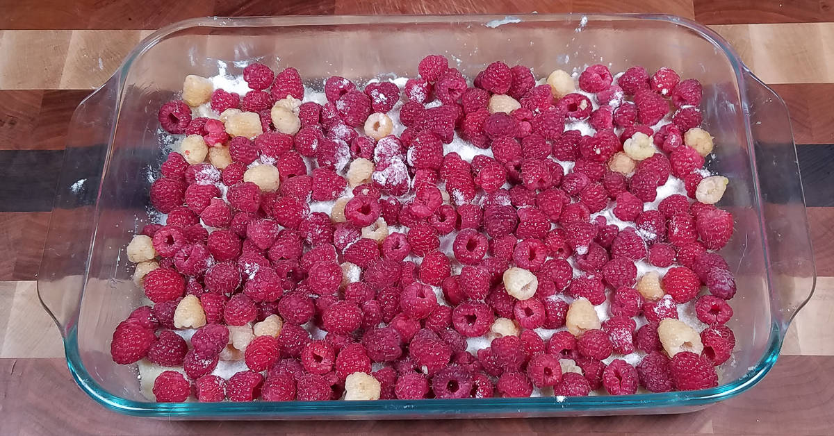 Raspberry Custard Kuchen raspberries spread into baking dish