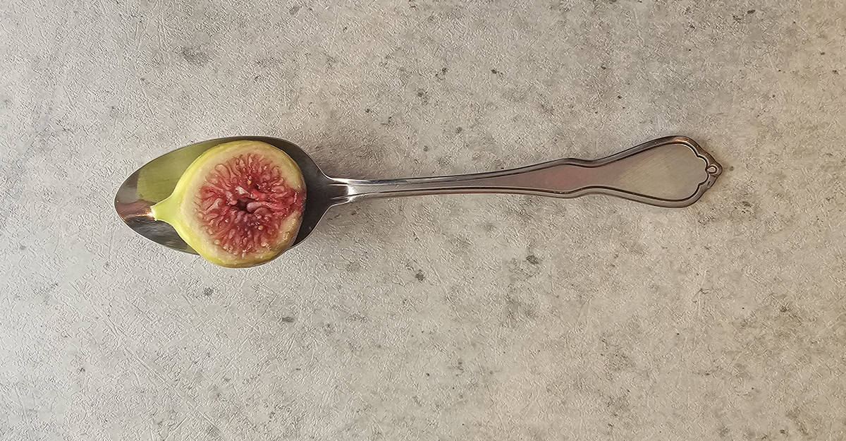 miniature fig cut